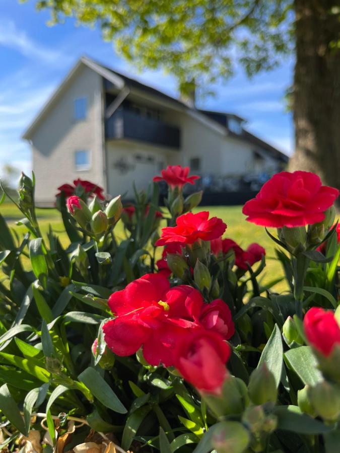 Stegemans Horse Hotel And Country Lodge Ljungby  Exteriér fotografie